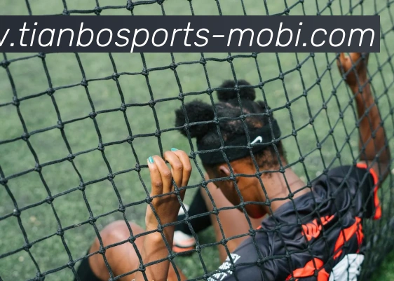 天博体育APP 高清赛事图